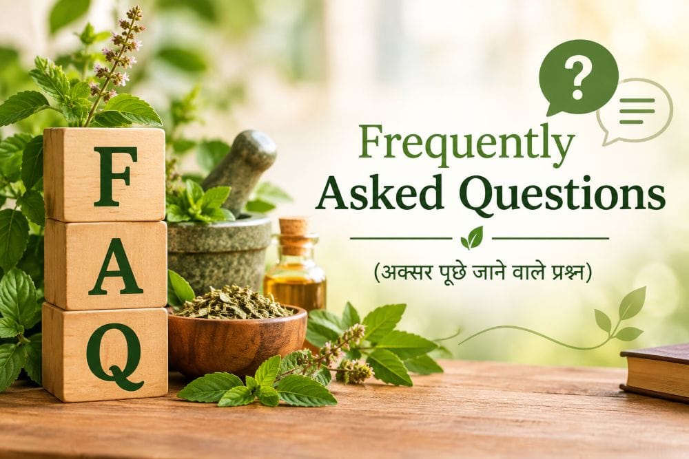 Frequently Asked Questions (FAQ)