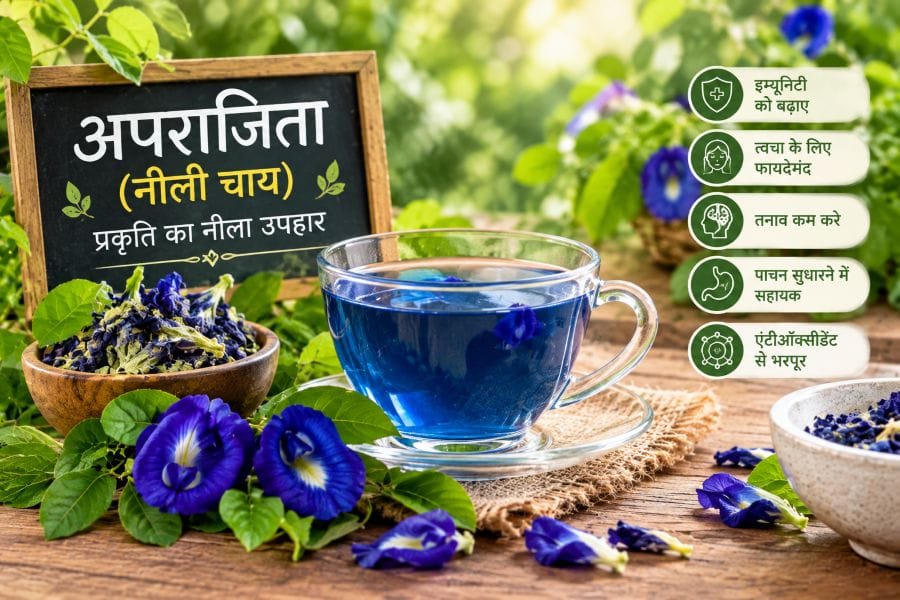 अपराजिता (नीली चाय) के फायदे, बनाने का तरीका और नुकसान